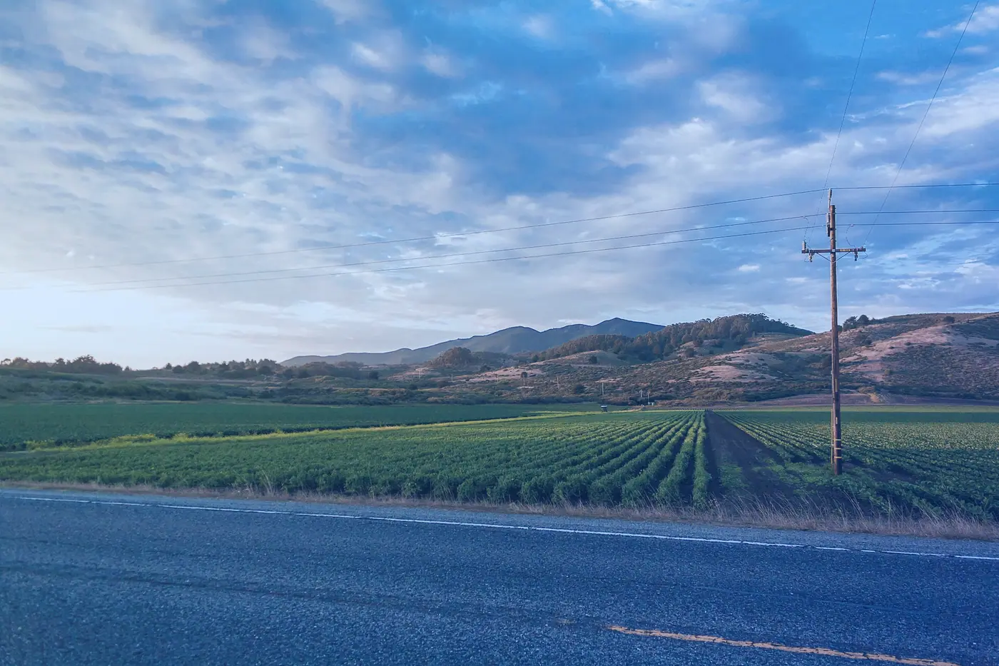 Rows of crops stretching toward distant hills