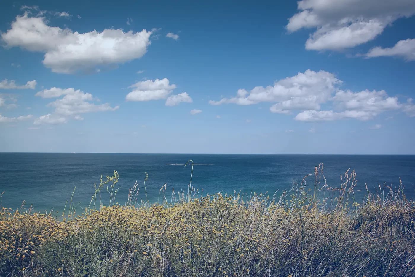 Clouds over a grassy coastline